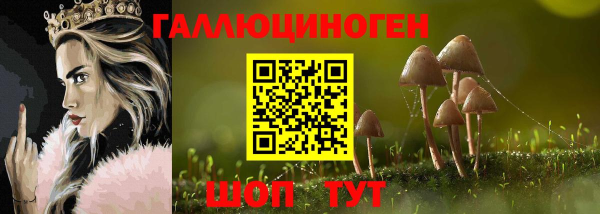 Псилоцибиновые грибы GOLDEN TEACHER  Вход с VPN  Псилоцибиновые грибы GOLDEN TEACHER  Канск 